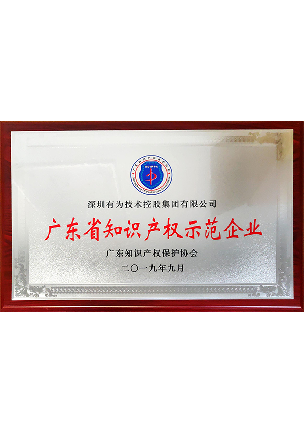 廣東省知識產權示范企業(yè)